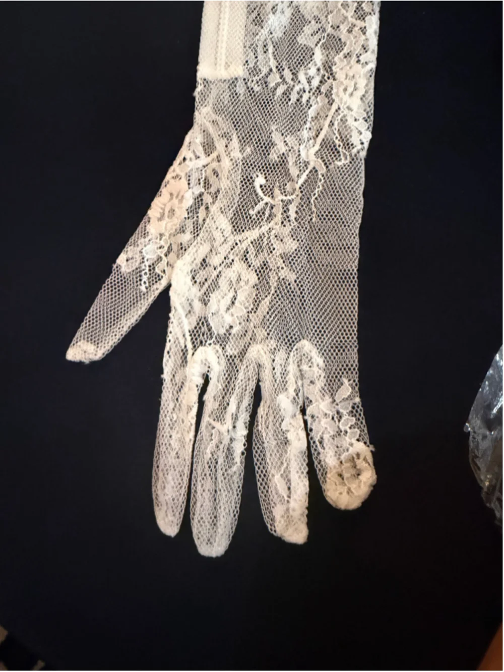 Bronx and Banco Lace Gloves Med Large NWT